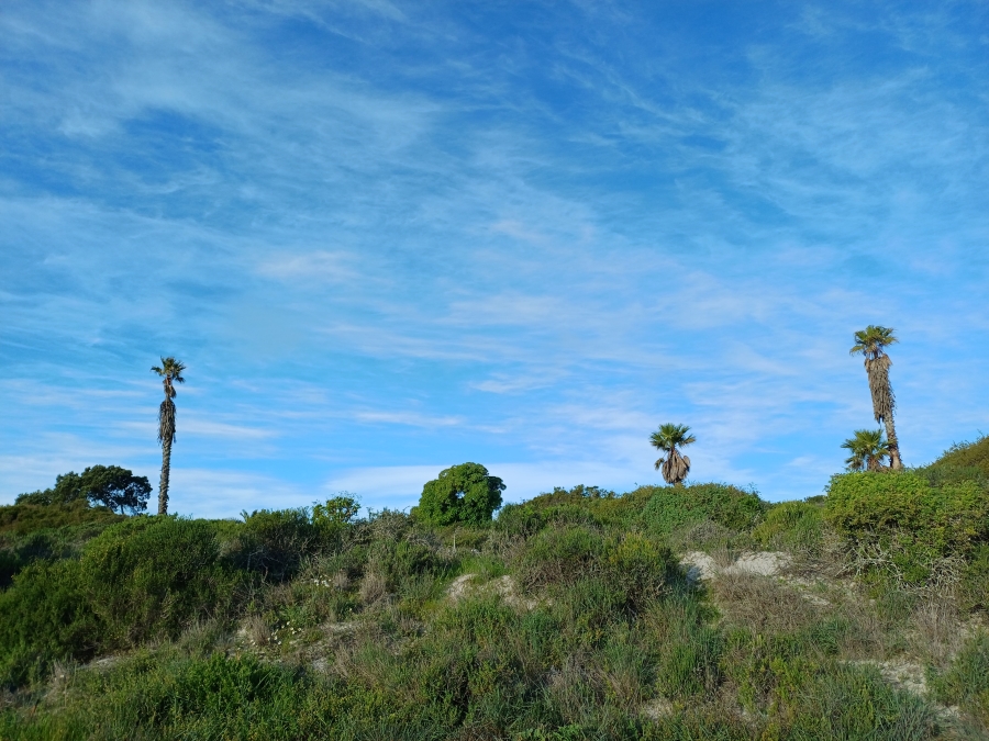 0 Bedroom Property for Sale in Shelley Point Western Cape